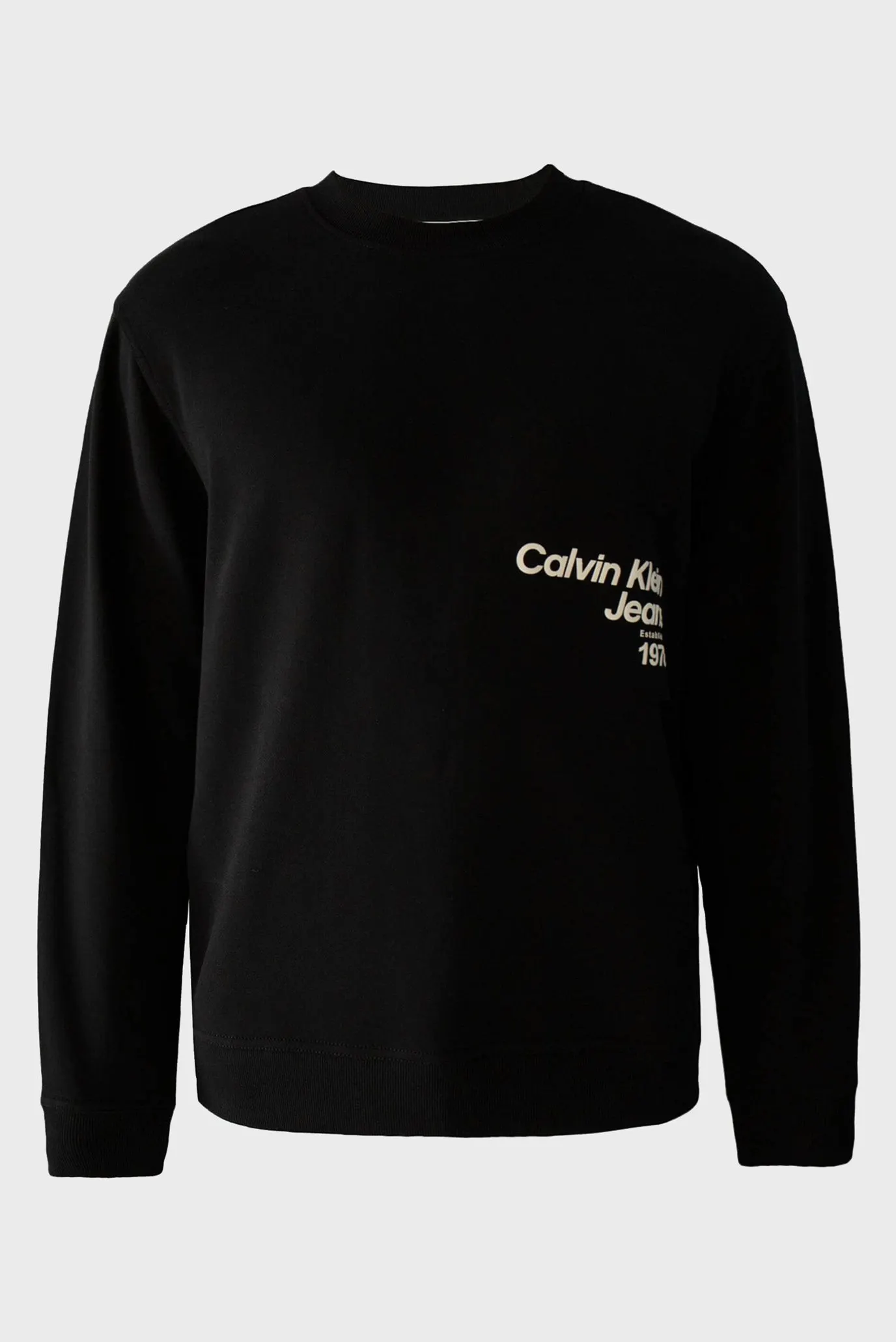 Svitshot DIFFUSED LOGO CREW NECK 5