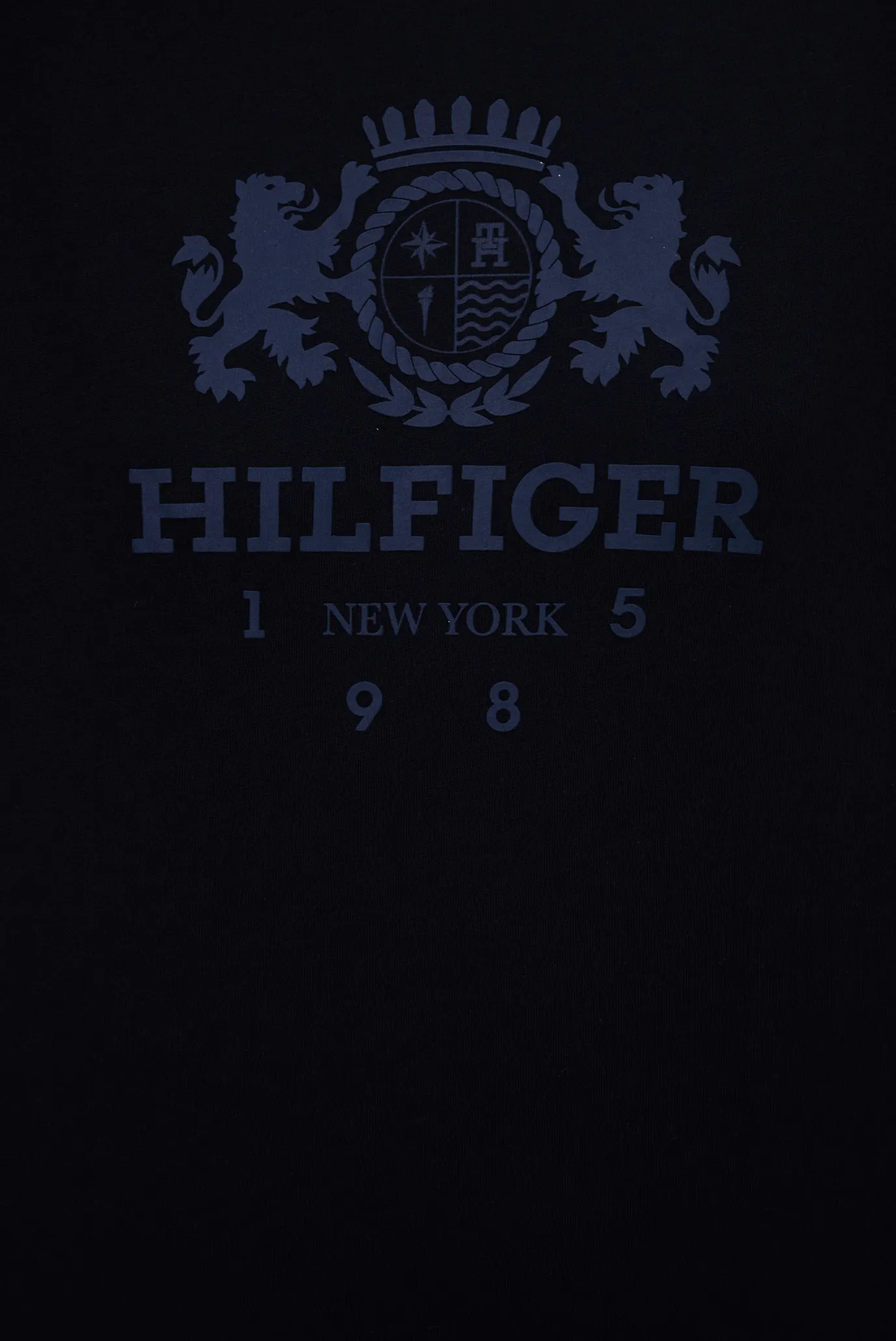 Футболка REG VARSITY CREST C-NK SS 5