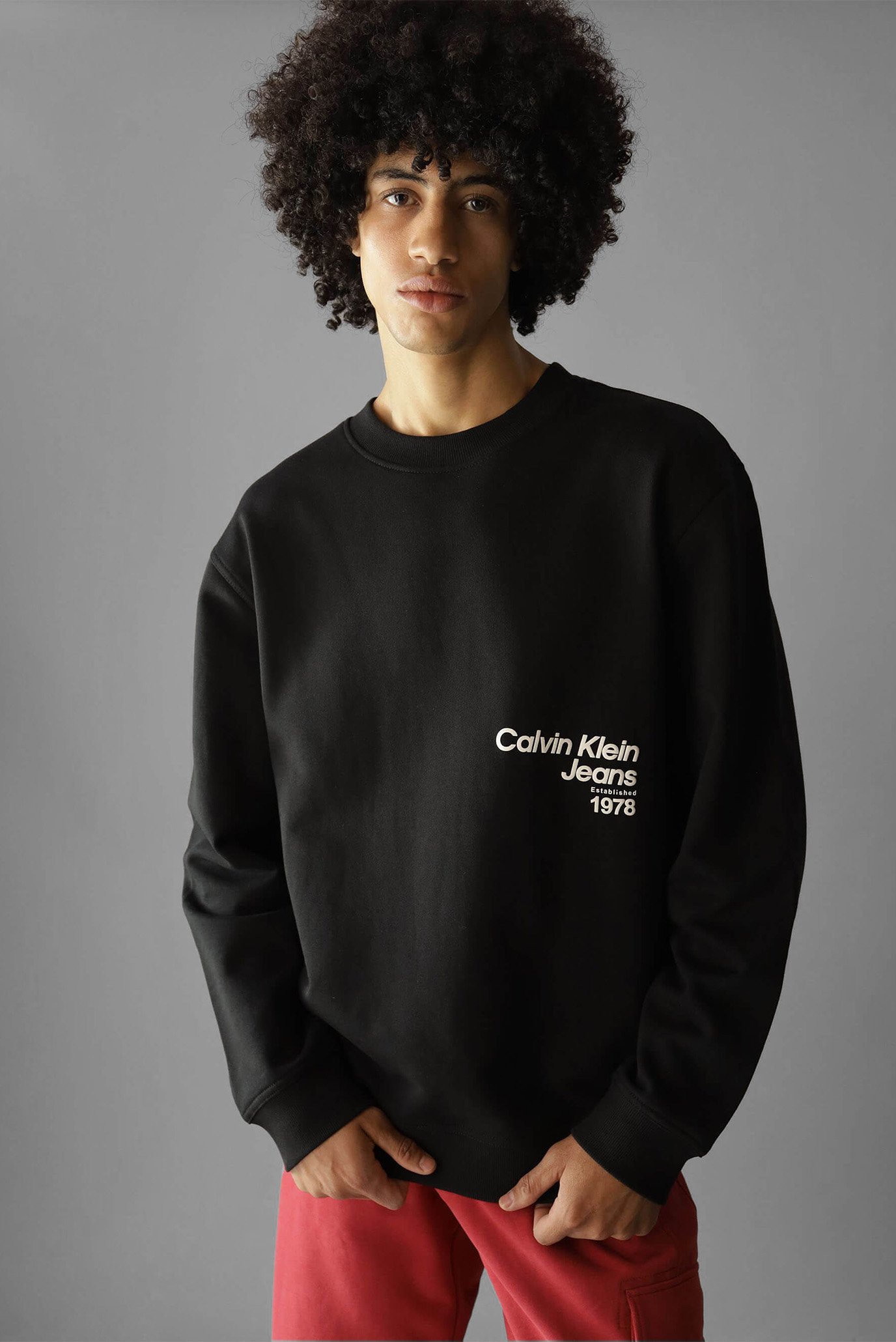 Svitshot DIFFUSED LOGO CREW NECK 1