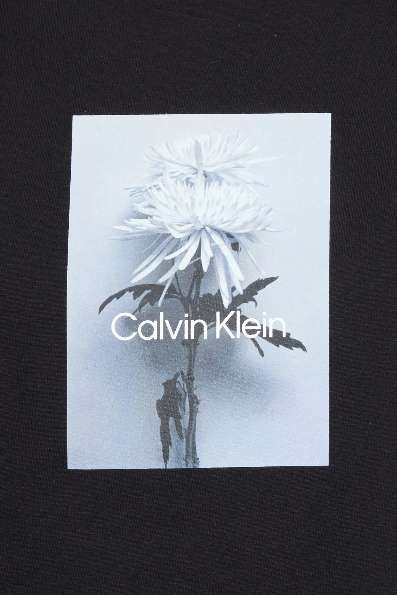 Futbolka BOXED FLOWER BOXY TEE 3