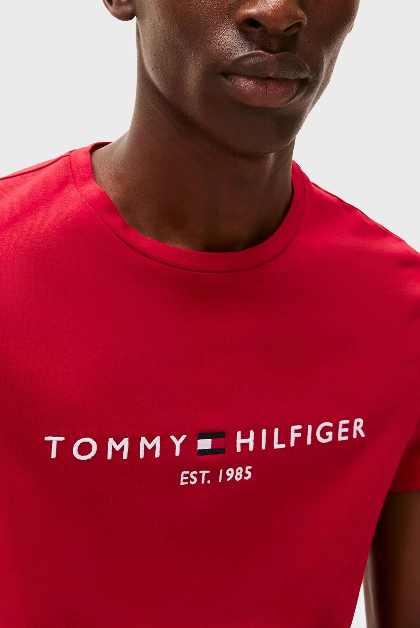 Футболка TOMMY LOGO TEE 2