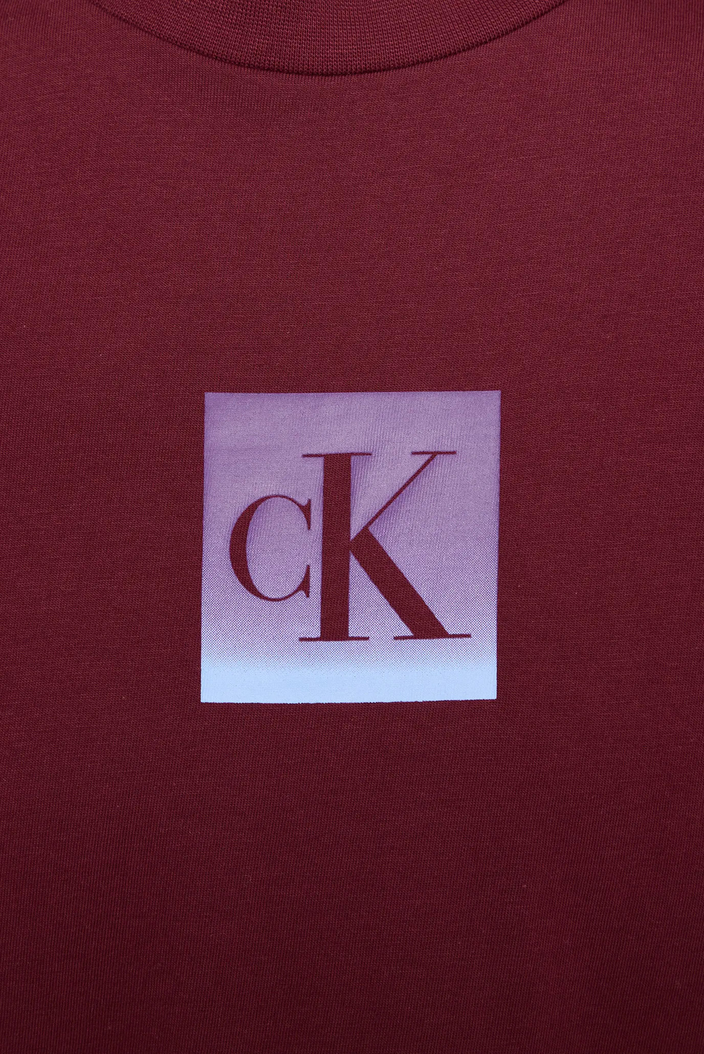 Futbolka SS CLASSIC FIT TEE 3