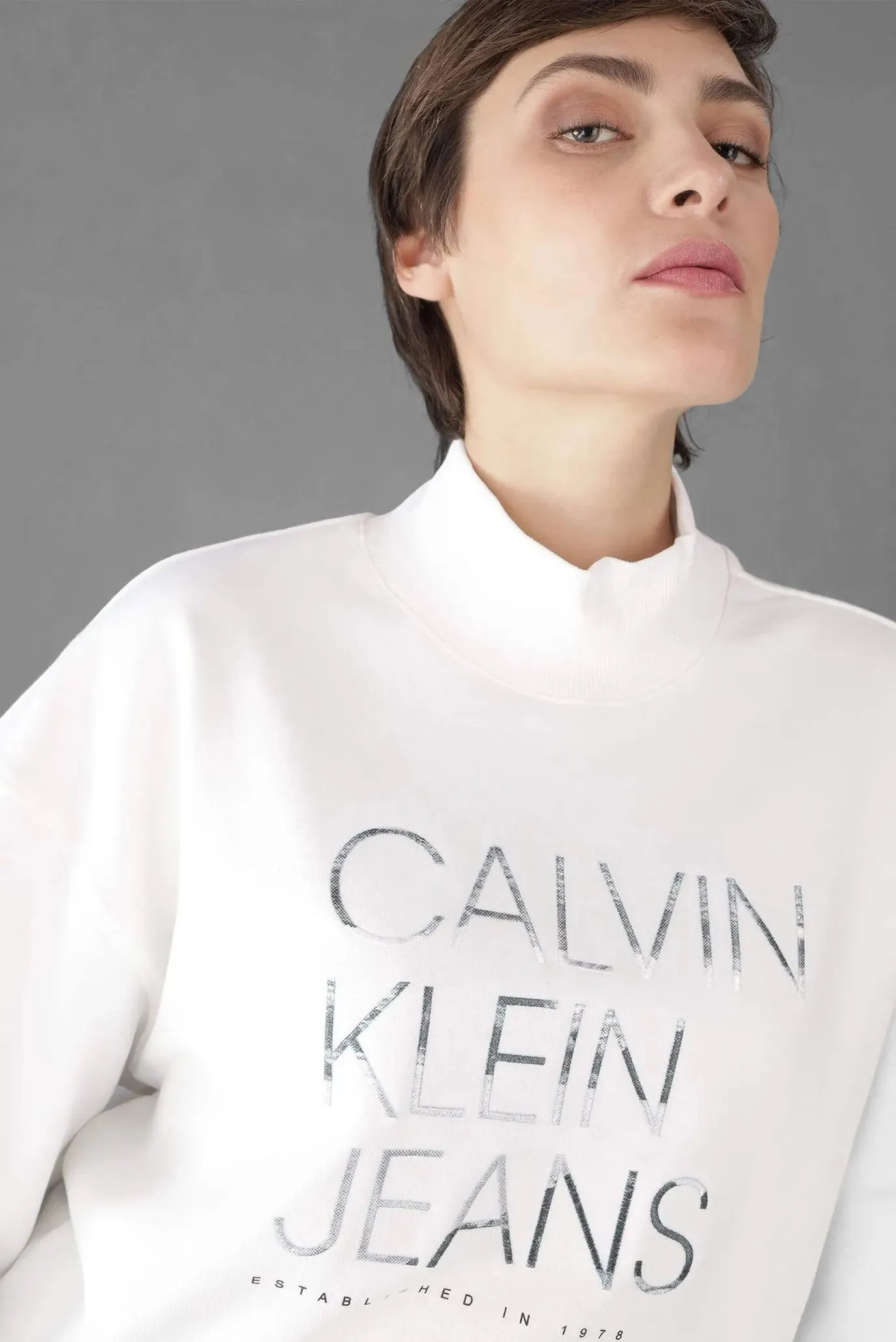 Sviter EMBROIDERED  INSTITUTIONAL HWK 3