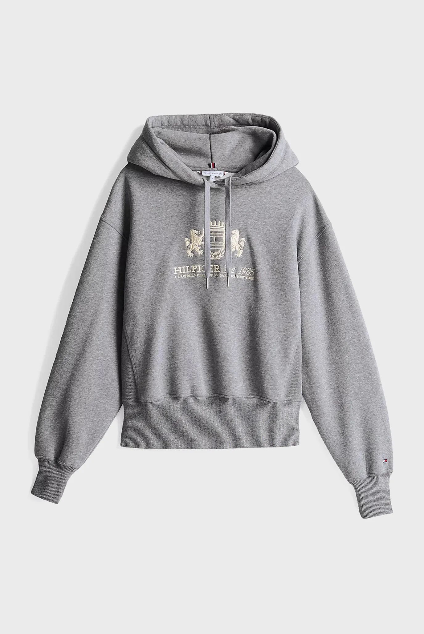 Hudi REG VARSITY HOODIE 5