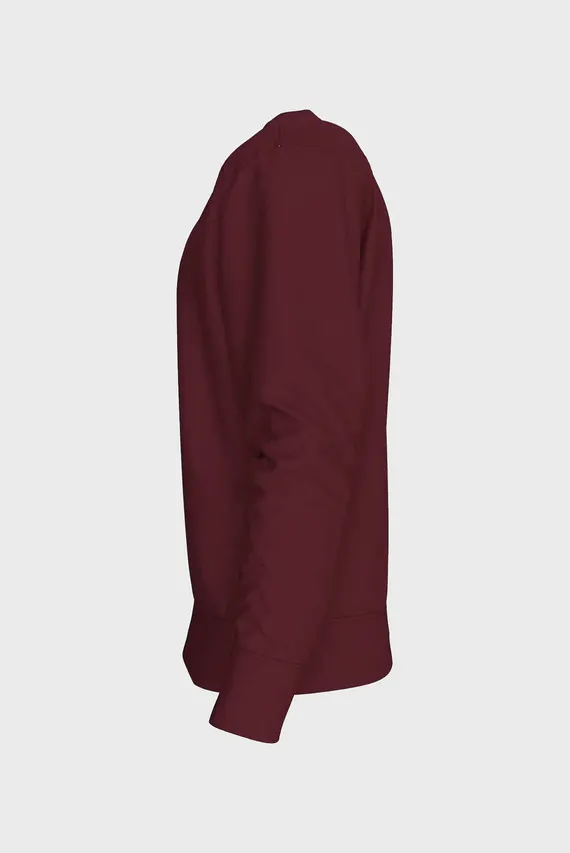 Svitshot LS EU 350TERRY MONOLOGO CN SWTSH Calvin Klein Jeans