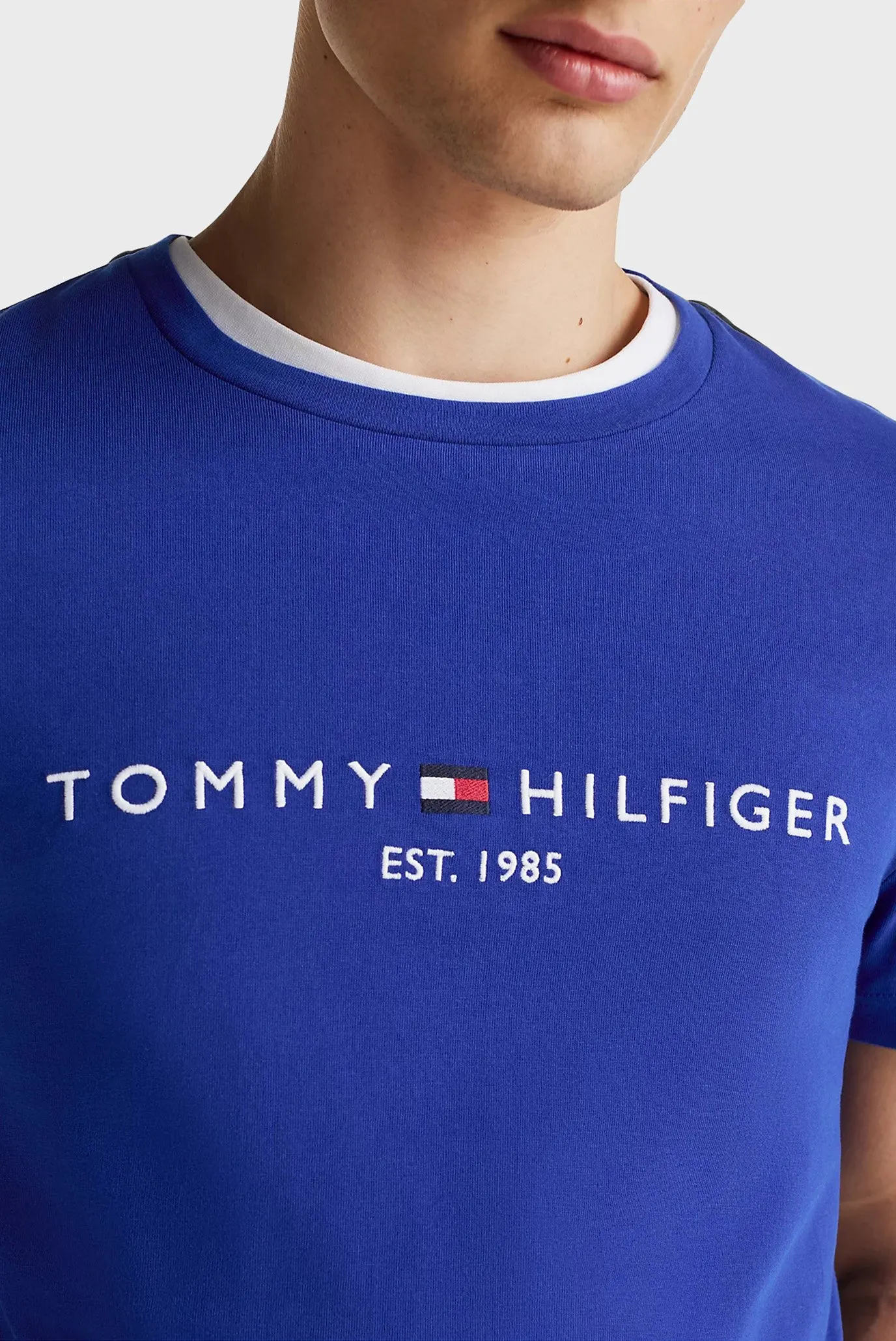 Футболка TOMMY LOGO TEE 2