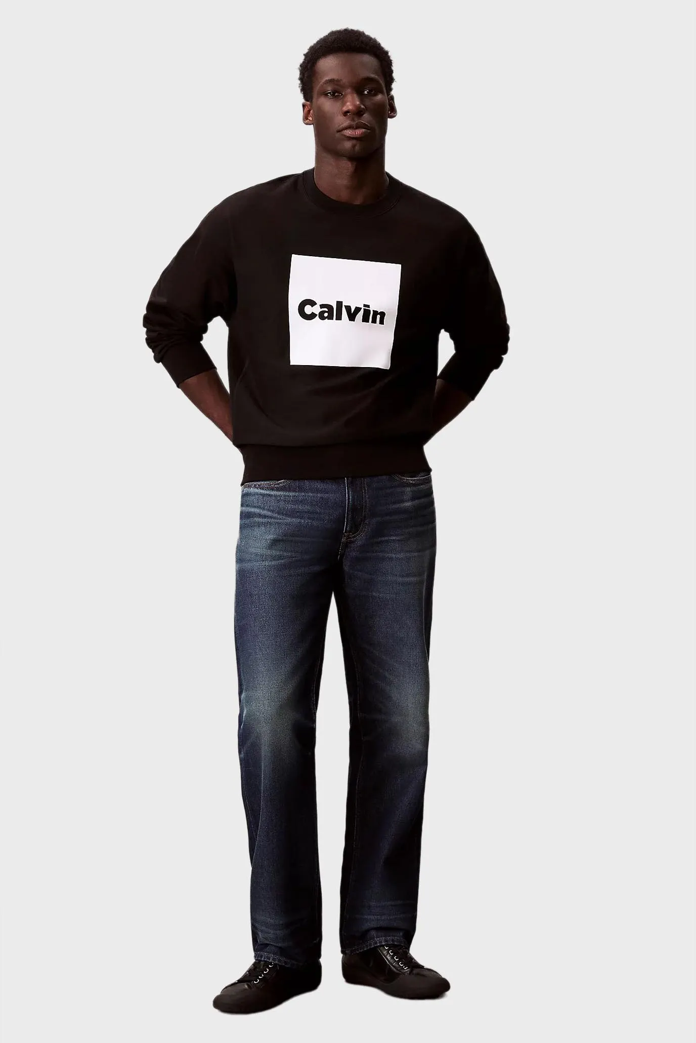 Svitshot LS PREMIUM FLEECE CALVIN BOX GRA 2