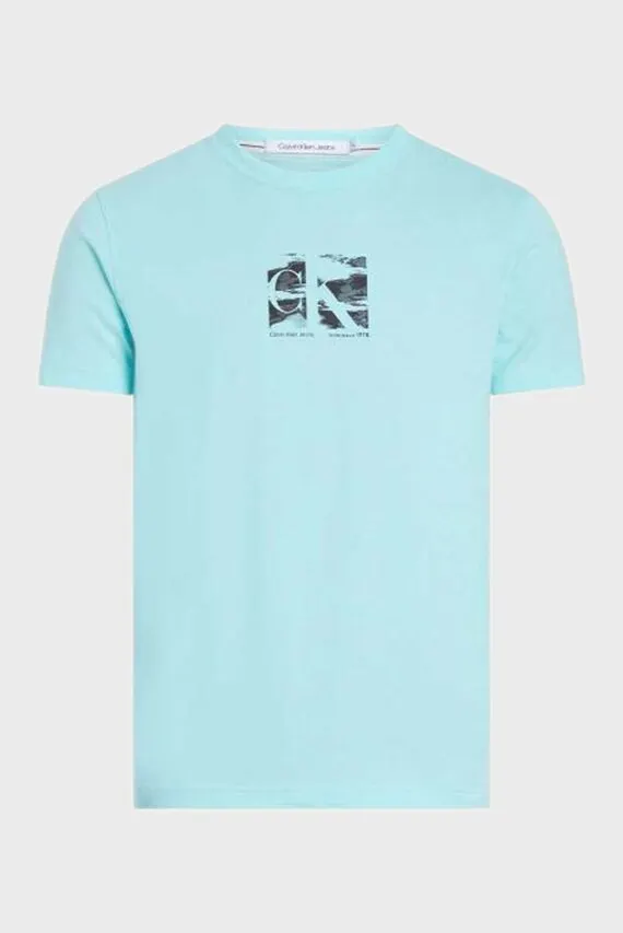 Футболка SMALL BOX LOGO TEE Calvin Klein Jeans