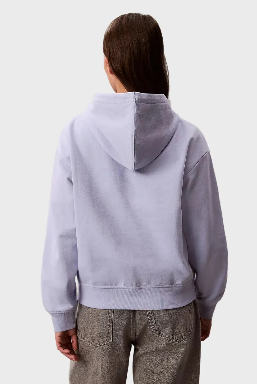 Свитшот/LS MONOLOGO FRENCH TERRY PO HOOD 3