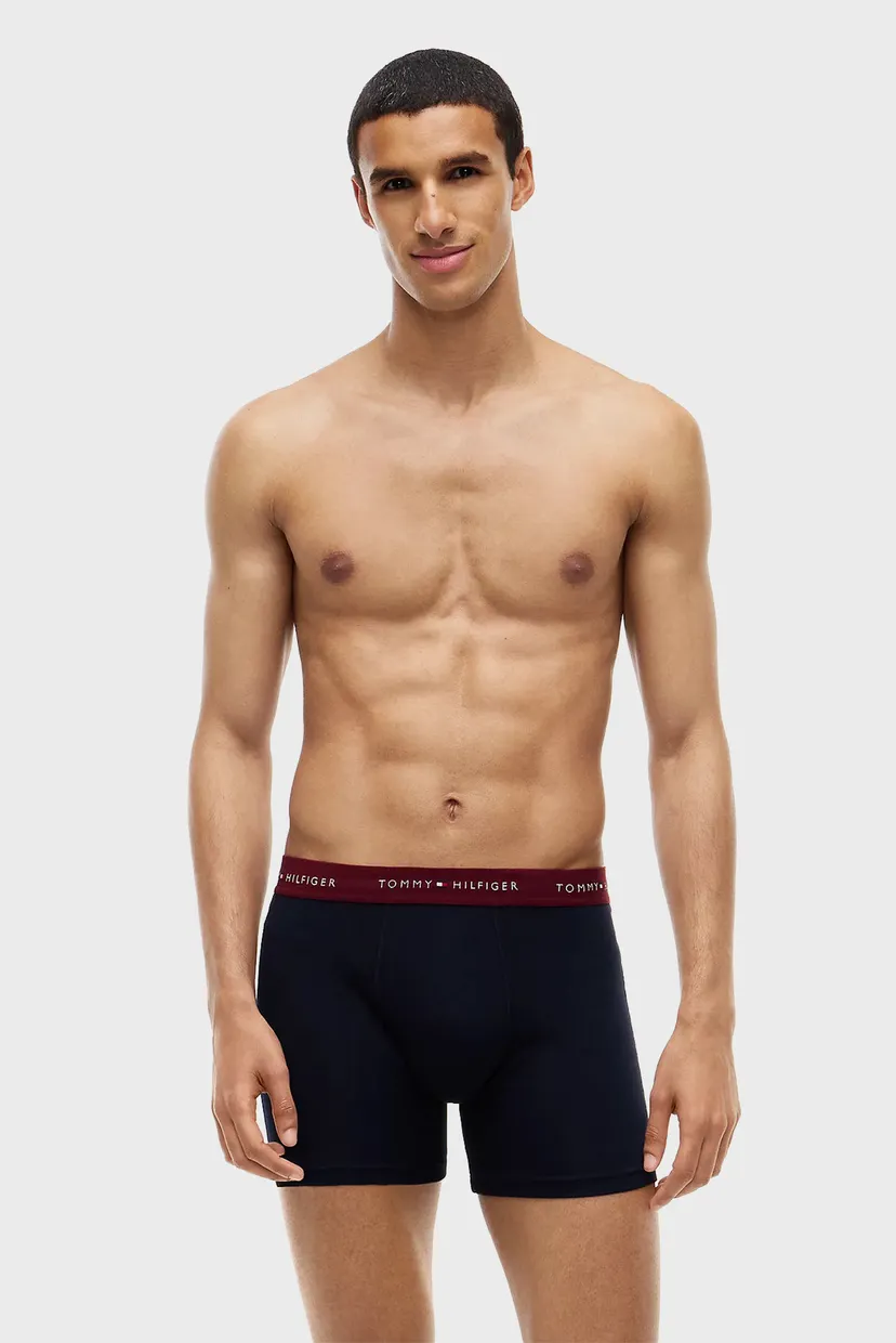 Ichki kiyim to'plami/3P BOXER BRIEF WB 4