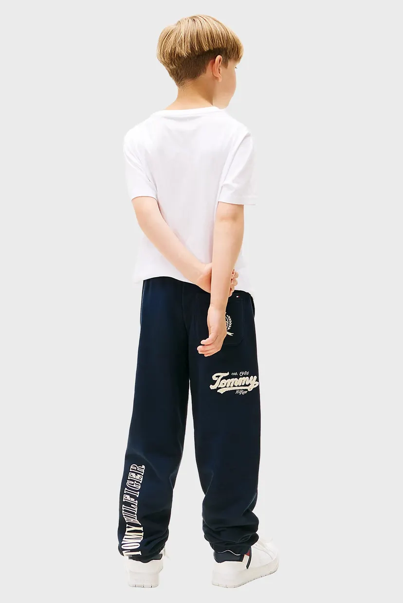 Штаны спортивные VARSITY GRAPHIC SWEATPANT 3