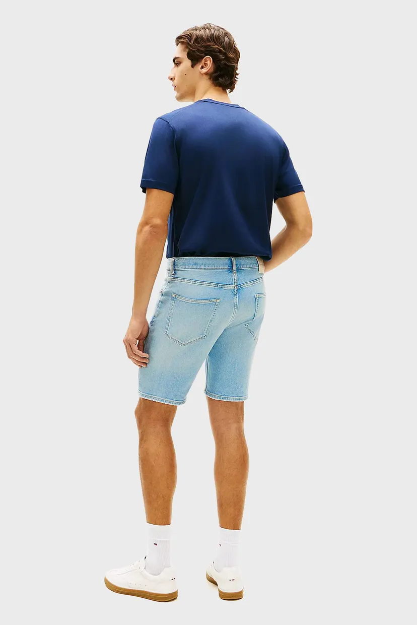Шорты/DENTON SHORT HERON BLUE 3