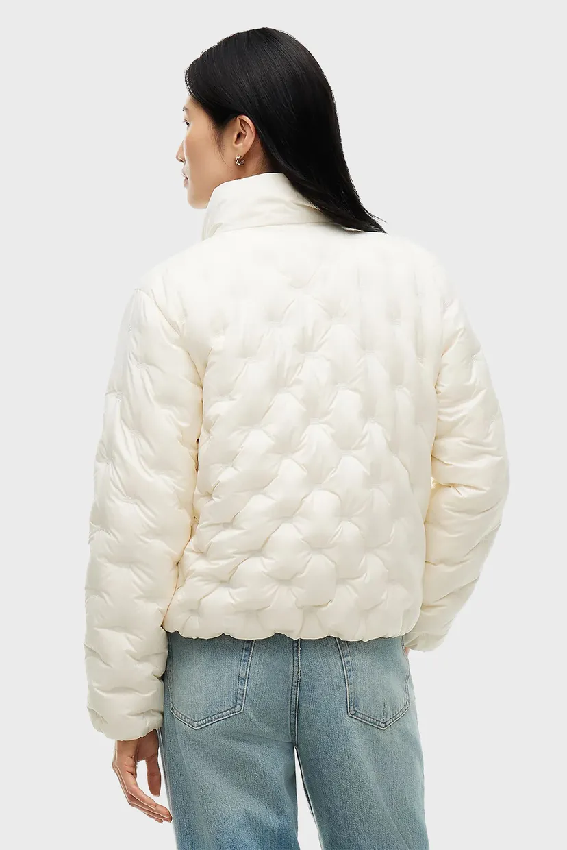 Qishki kurtka/LW DOWN FLAG QUILT JACKET 3