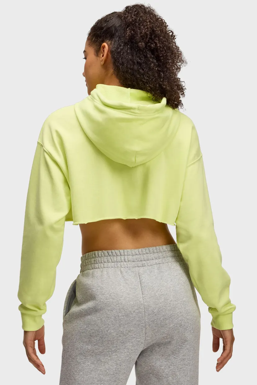 Hudi UA Icon Terry Crop Hoodie 3