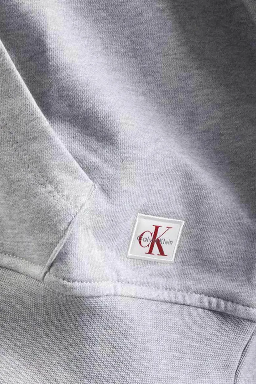 Reglan FRENCH TERRY WOVEN LABEL FZ HOOD 3