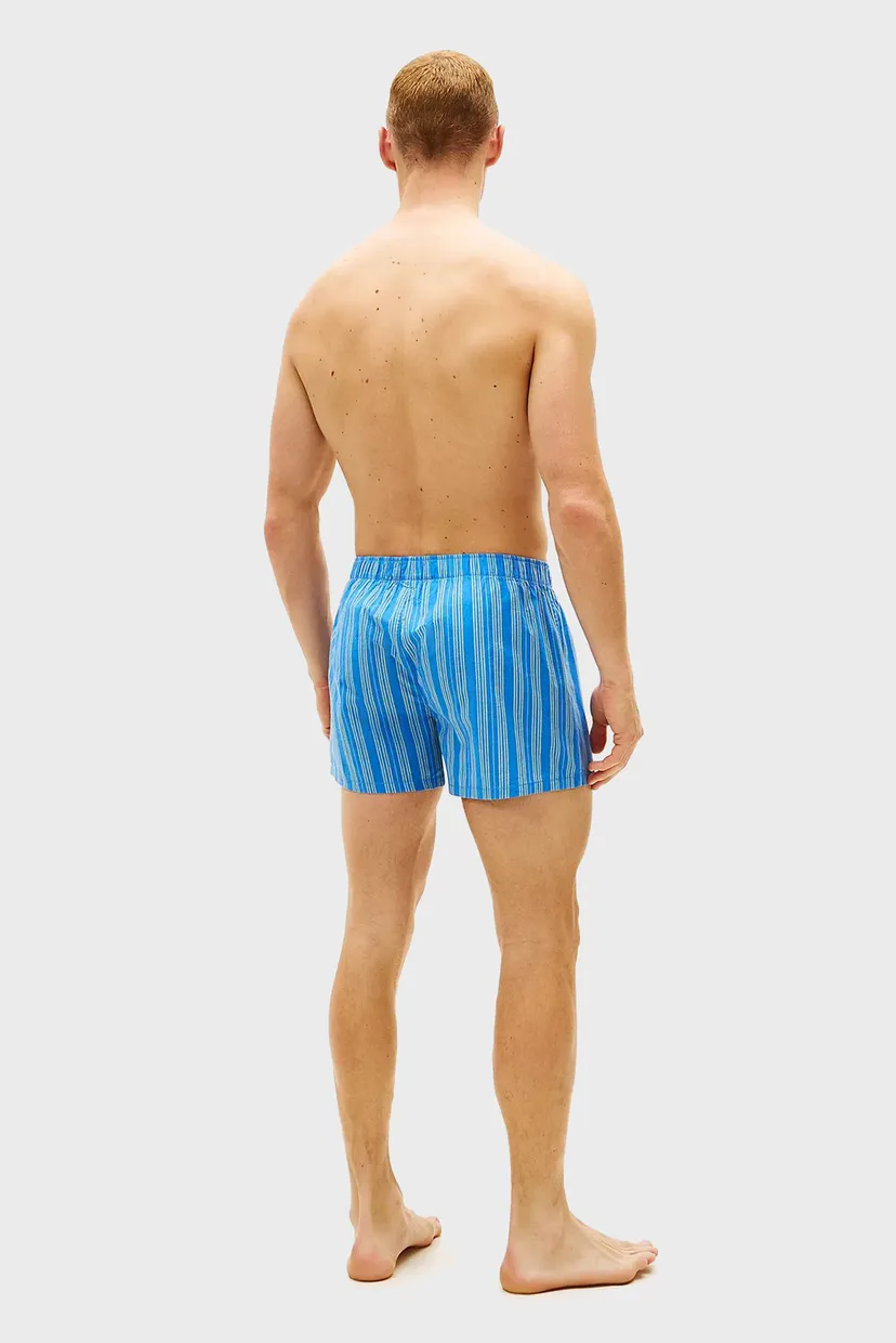 Трусы/3P WOVEN BOXER PRINT 4