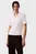 Polo SS MODAL RIB POLO