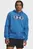 Hudi UA Rival Flc Branded Hoodie Under Armour