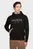 Hudi BIG HILFIGER HOODY