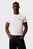 Футболка SS 30s EU SPW SPLIT STNDRD GRAPH Calvin Klein